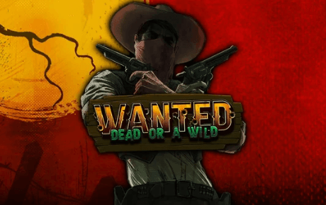 Wanted Dead or a Wild